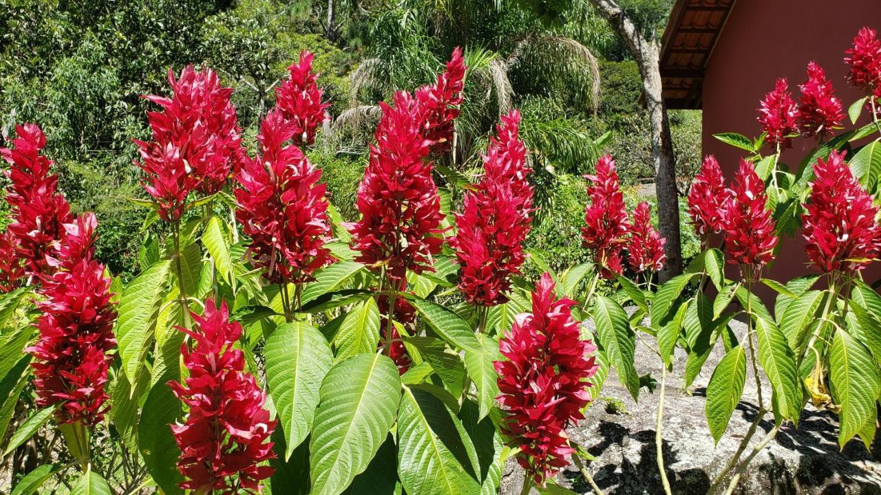 Готель Pousada Beija Flor-Lumiar - Piscinas E Cafe Екстер'єр фото